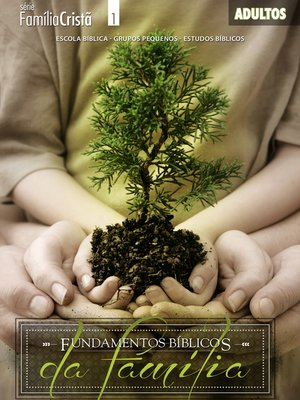 cover image of Fundamentos Bíblicos da Família | Professor
